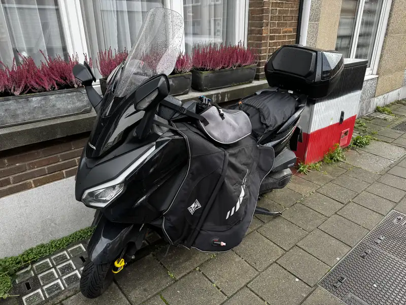 Honda Forza 350 - foto 5