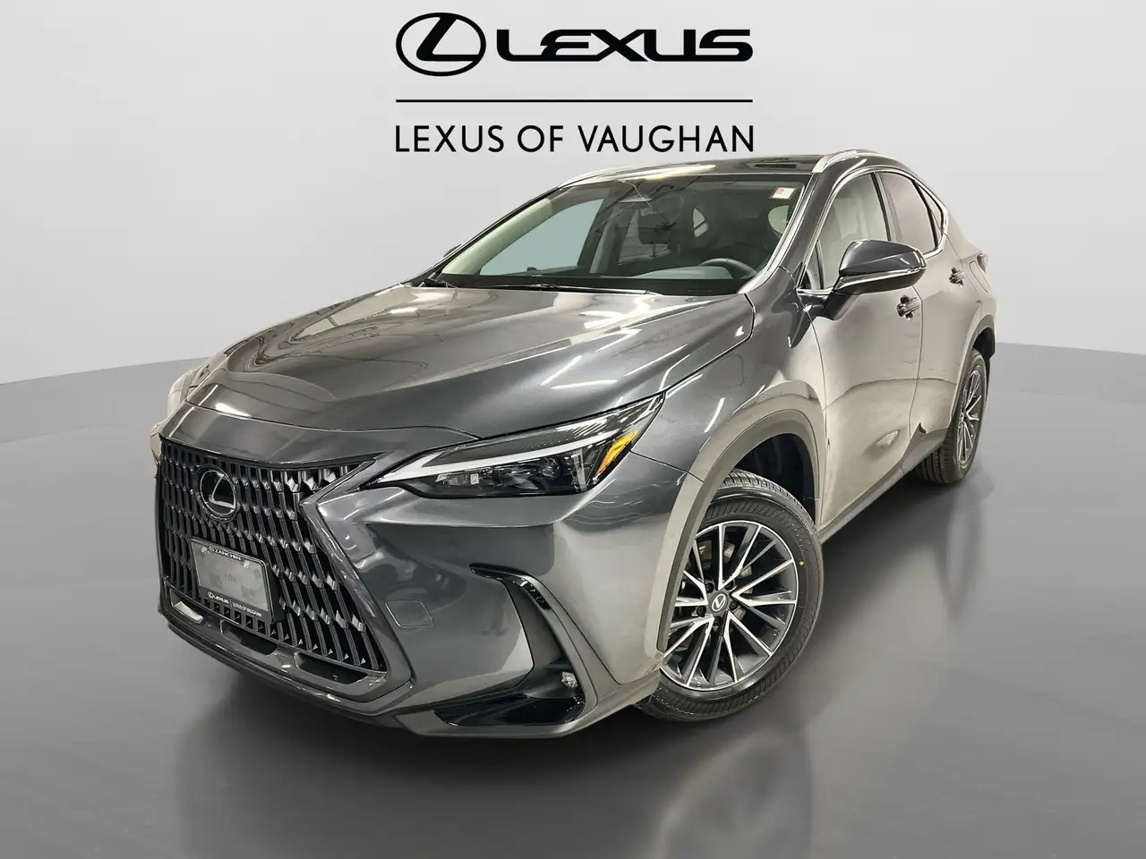 2026 Lexus NX
