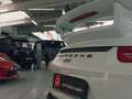 Porsche 911 GT3 *WITH NEW ENGINE BY PORSCHE STUTTGART* Weiß - thumbnail 14