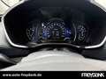 Hyundai SANTA FE (MJ20) 2.2 CRDi 4WD 8AT Premium Grau - thumbnail 16