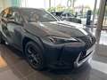 Lexus UX 250h Business Line Grau - thumbnail 2