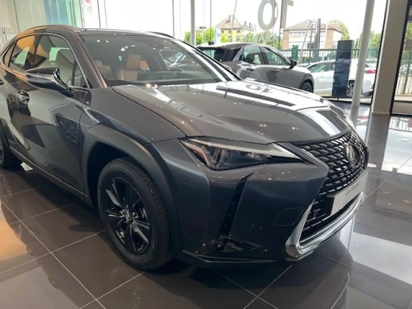 Lexus UX 250h Business Line Grau - 2