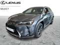 Lexus UX 250h Business Line Grau - thumbnail 1