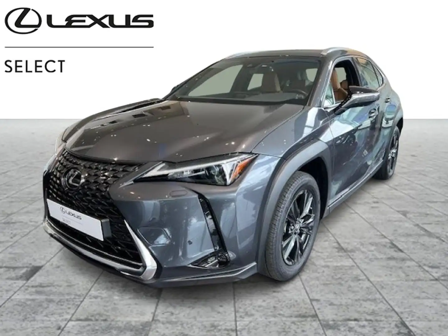 Lexus UX 250h Business Line Grau - 1