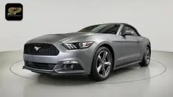 Ford Mustang Standard