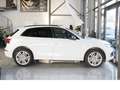 Audi Q5 50 TDI quat S-LINE*SPORT*V-CPT*ACC*NAV*360° Weiß - thumbnail 8