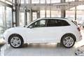 Audi Q5 50 TDI quat S-LINE*SPORT*V-CPT*ACC*NAV*360° Weiß - thumbnail 4