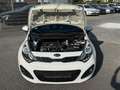 Kia Rio Dream Team 1.2i Klimaaut. LK+SHZ PDC Tüv Neu Blanco - thumbnail 9