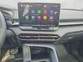 CUPRA Terramar 2.0 TSI DSG 4Drive Americas Cup AHK Gri - thumbnail 13