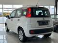 Fiat Panda Pop 1.2 8V eFH Tagfahrlicht ZV ABS Servo Airb Blanc - thumbnail 6