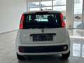 Fiat Panda Pop 1.2 8V eFH Tagfahrlicht ZV ABS Servo Airb Blanc - thumbnail 5