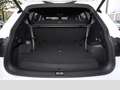 Volkswagen Tiguan Allspace R-Line 2.0 TDI DSG 4Motion AHK Weiß - thumbnail 6