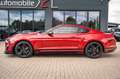 Ford Mustang 2,3 Ecoboost GT 500 SHELBY PREMIUM/LCD Rood - thumbnail 11