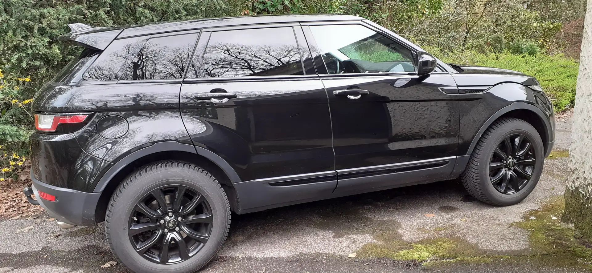 Land Rover Range Rover Evoque Range Rover Evoque TD4 Aut. Black-Edition Schwarz - 2