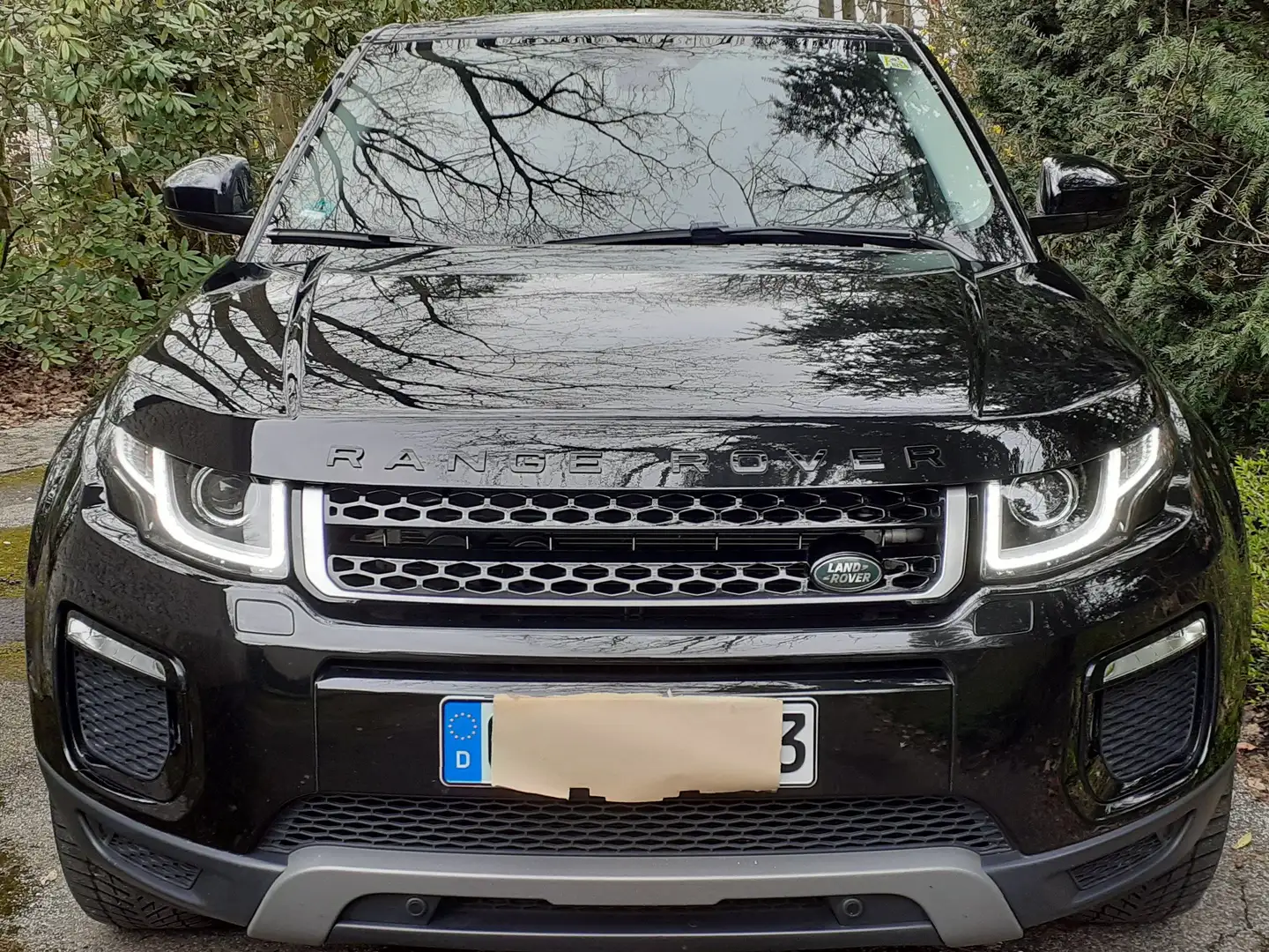 Land Rover Range Rover Evoque Range Rover Evoque TD4 Aut. Black-Edition Schwarz - 1