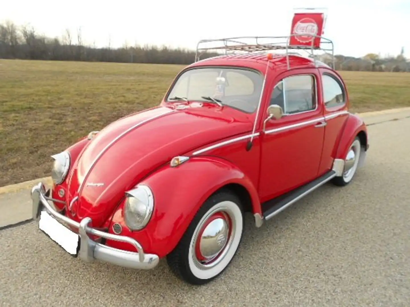Volkswagen Käfer Rot - 2