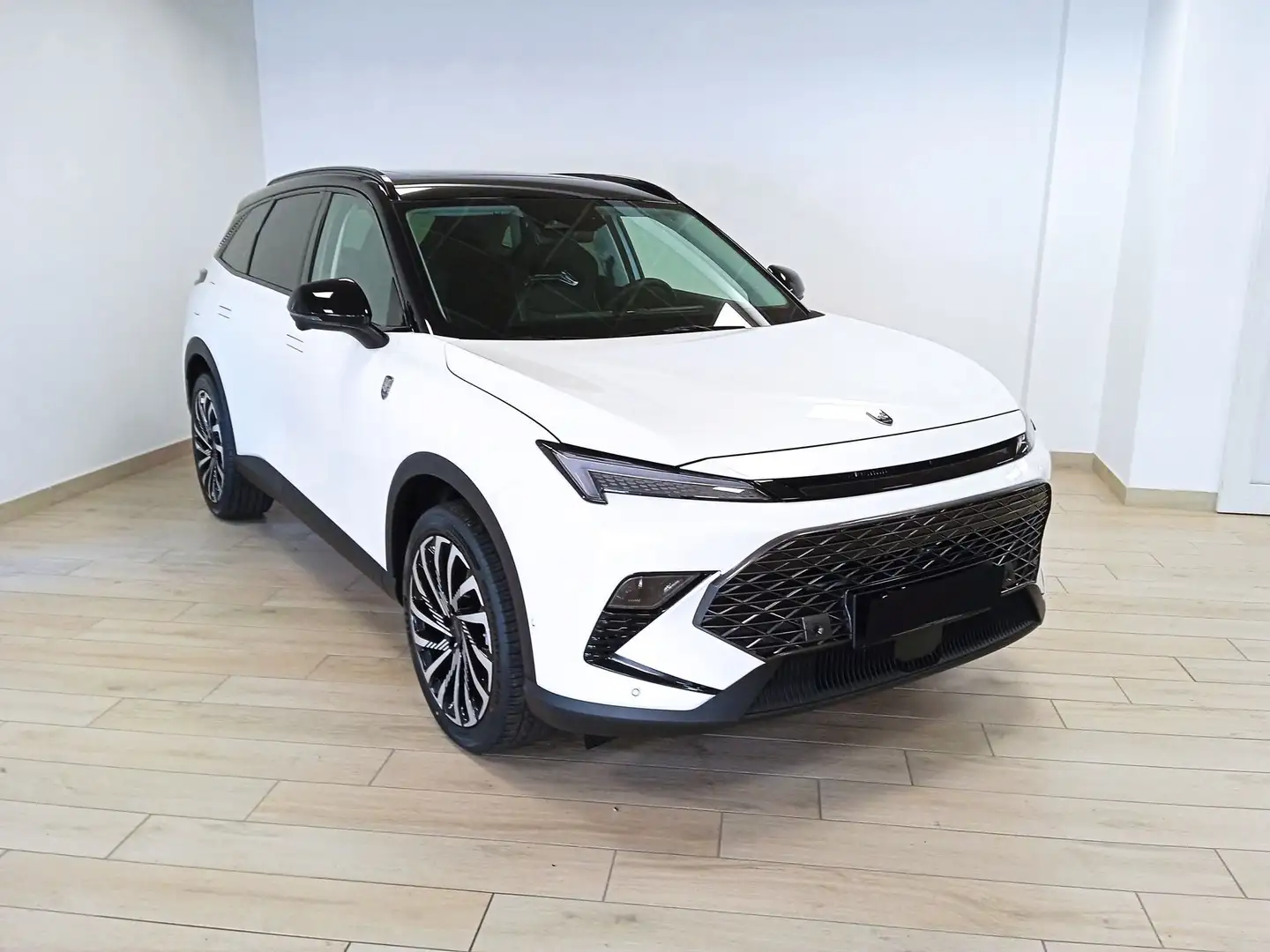 Tiger Six 1.5 T DI 7DCT - 1