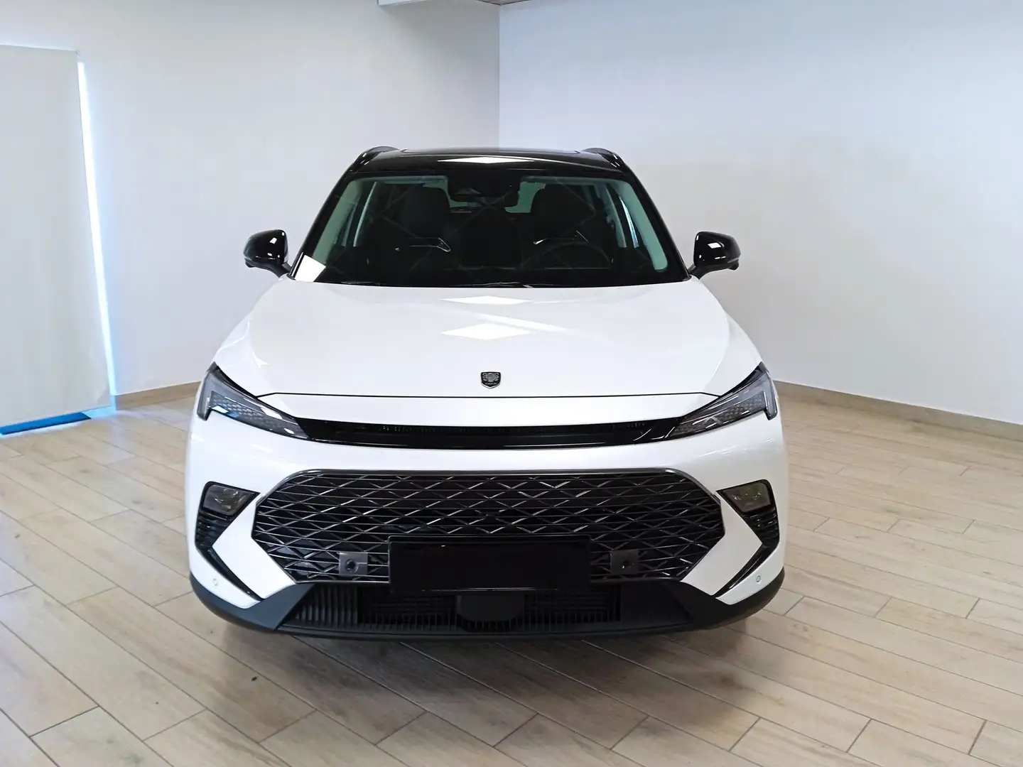 Tiger Six 1.5 T DI 7DCT - 2