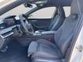 Skoda Superb Wagon Sportline 2,0 TDI 110 kW (150 CV) 7 marce - Bianco - thumbnail 6