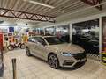 Skoda Octavia RS iV Panorma Grau - thumbnail 7