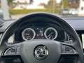 Skoda Kodiaq 2.0 TDI Sportline *AHK*PANO*LED*KAMERA* Blau - thumbnail 10