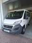 Fiat Ducato #9 POSTI COMBI Bianco - thumbnail 1