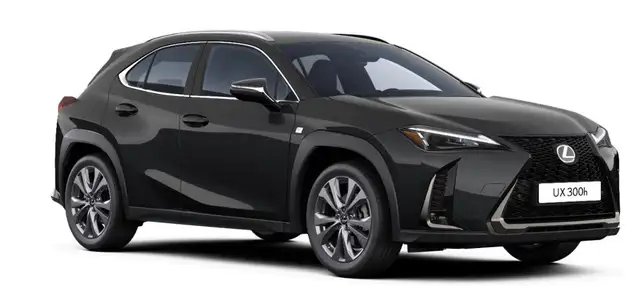 Lexus UX 300h F Sport Design Klima Kamera Sitzhzg