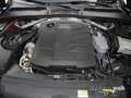 Audi A5 Sportback 40 TDI quattro S-tronic LED AHK RFK NAVI Schwarz - thumbnail 14