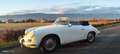 Porsche 356 C CABRIO ROADSTER Blanco - thumbnail 22