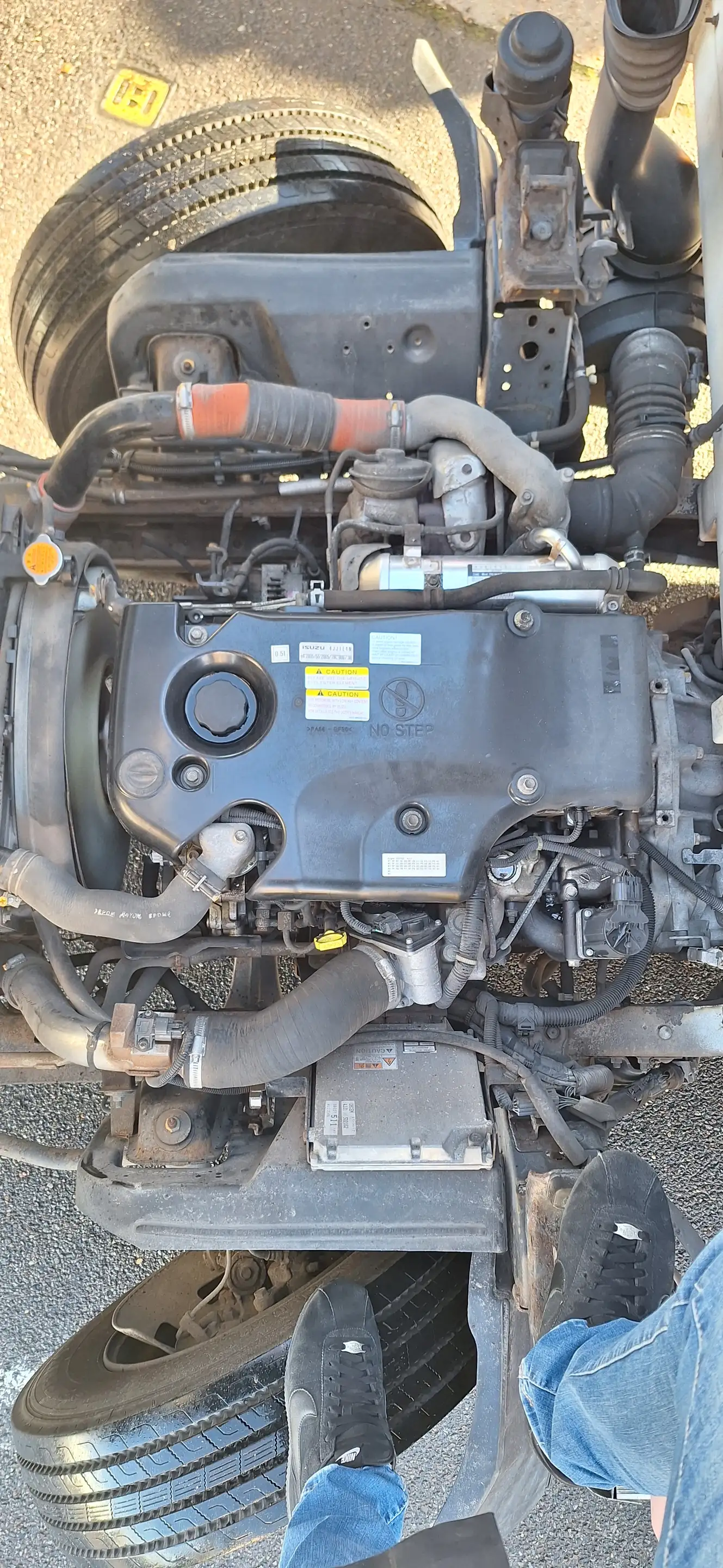 Isuzu NPR NPR-85-3.0cc-SMOOTHER-170.000KM — photo 7