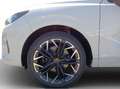 CUPRA Terramar 2.0 TSI DSG 4Drive VZ PANO*AHK*HEADUP*VIRTUAL*N... Weiß - thumbnail 16