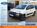 Fiat Panda Van 86PS TwinAir CITY CROSS 4X4 Weiß - thumbnail 1
