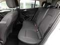 Ford Focus Turnier C&C 1,5 EcoBlue *LED / NAVI / TEMPOMAT ... Argento - thumbnail 12