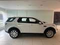 Land Rover Discovery Sport Discovery Sport I 2015 2.2 sd4 SE awd 190cv Bianco - thumbnail 5