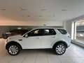 Land Rover Discovery Sport Discovery Sport I 2015 2.2 sd4 SE awd 190cv Bianco - thumbnail 7
