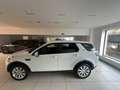 Land Rover Discovery Sport Discovery Sport I 2015 2.2 sd4 SE awd 190cv Bianco - thumbnail 8