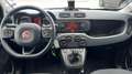 Fiat Panda Panda 0.9 t.air t. Wild 4x4 Gris - thumbnail 7