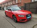Audi A5 Cabrio 2.0 TDI 170cv DPF Rojo - thumbnail 9