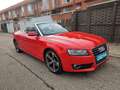 Audi A5 Cabrio 2.0 TDI 170cv DPF Rojo - thumbnail 8