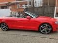 Audi A5 Cabrio 2.0 TDI 170cv DPF Rojo - thumbnail 4
