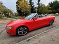 Audi A5 Cabrio 2.0 TDI 170cv DPF Rojo - thumbnail 3