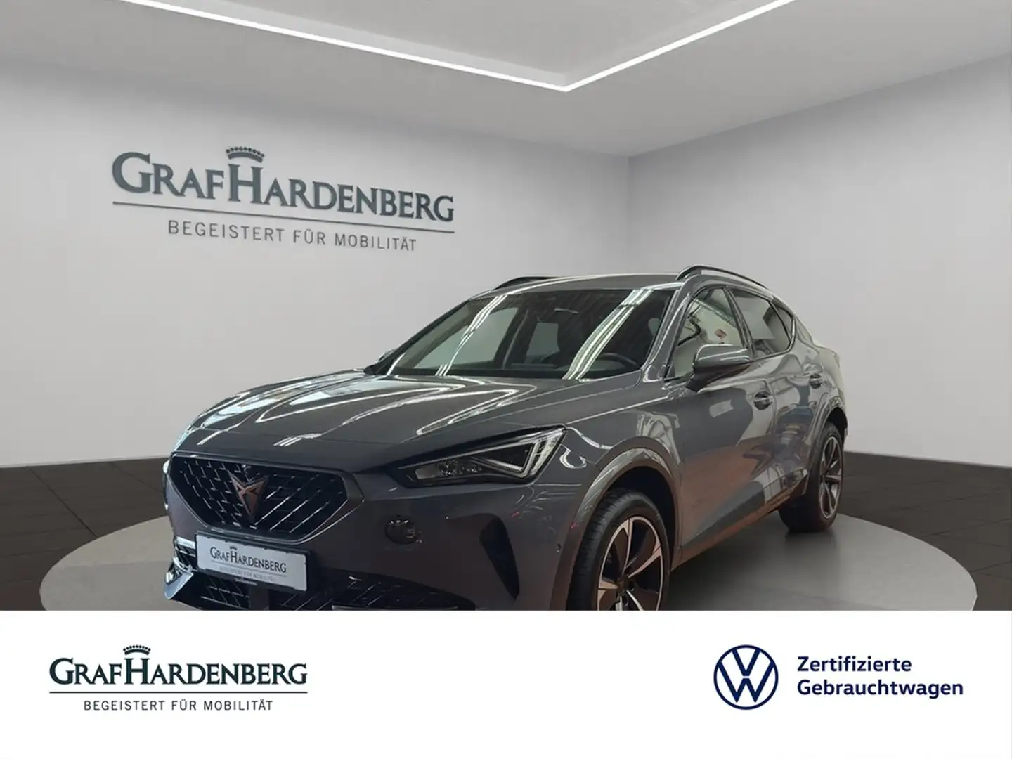 CUPRA Formentor 1.5 TSI DSG AHK Umgebungskamera Grau - 1