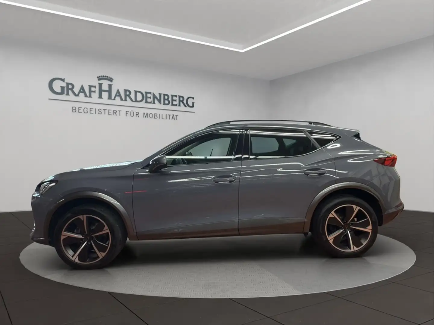 CUPRA Formentor 1.5 TSI DSG AHK Umgebungskamera Grau - 2