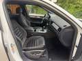 Volkswagen Touareg V6 TDI ,LED,Navi,Pano, Luft,  R-line Wit - thumbnail 14