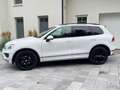 Volkswagen Touareg V6 TDI ,LED,Navi,Pano, Luft,  R-line Wit - thumbnail 2