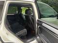 Volkswagen Touareg V6 TDI ,LED,Navi,Pano, Luft,  R-line Wit - thumbnail 17
