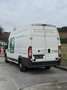 Fiat Ducato maxi Hoch - thumbnail 3