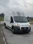 Fiat Ducato maxi Hoch - thumbnail 1