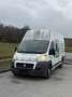 Fiat Ducato maxi Hoch - thumbnail 2