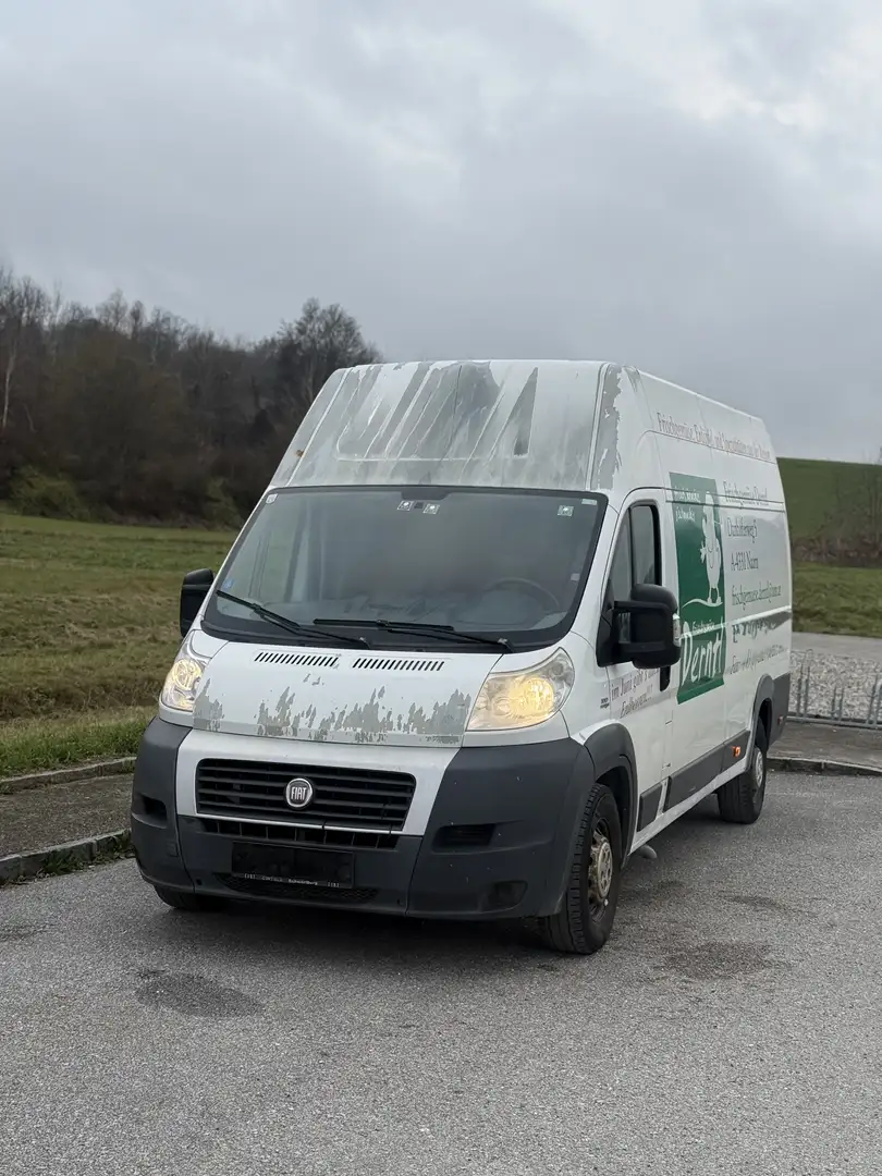 Fiat Ducato maxi Hoch - 2